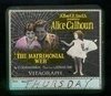 Обложка (Постер) Matrimonial Web (1921) SATRip