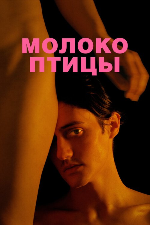 Обложка (Постер) Молоко птицы (2020) HDRip