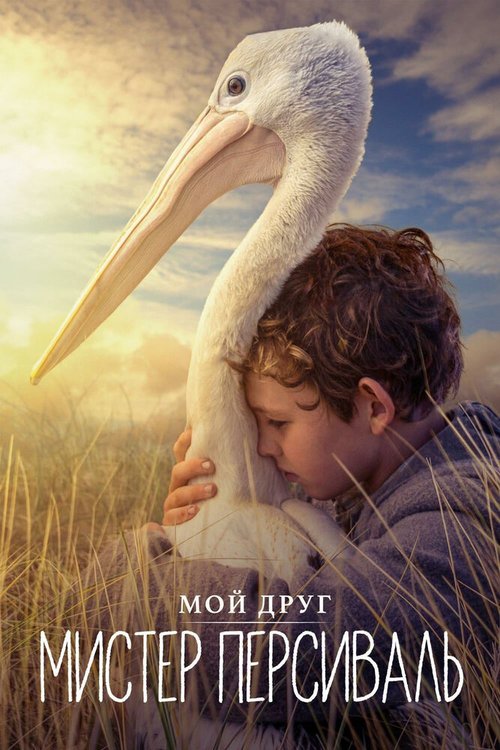 Обложка Мой друг мистер Персиваль / Storm Boy (2019) 