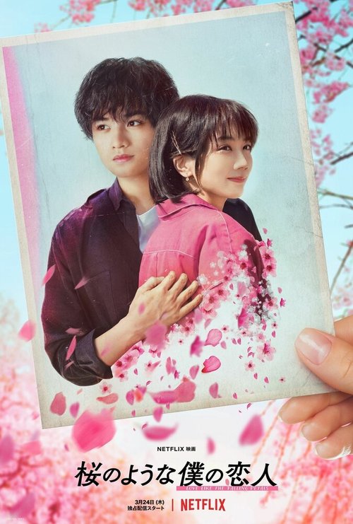 Обложка (Постер) Моя любимая словно цветок сакуры / Sakura no Yona Boku no Koibito (2022) HDRip