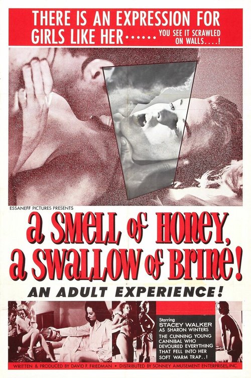 Обложка (Постер) На запах — мед, на вкус — рассол / A Smell of Honey, a Swallow of Brine (1966) SATRip Обложка (Постер) На запах — мед, на вкус — рассол / A Smell of Honey, a Swallow of Brine (1966) SATRip