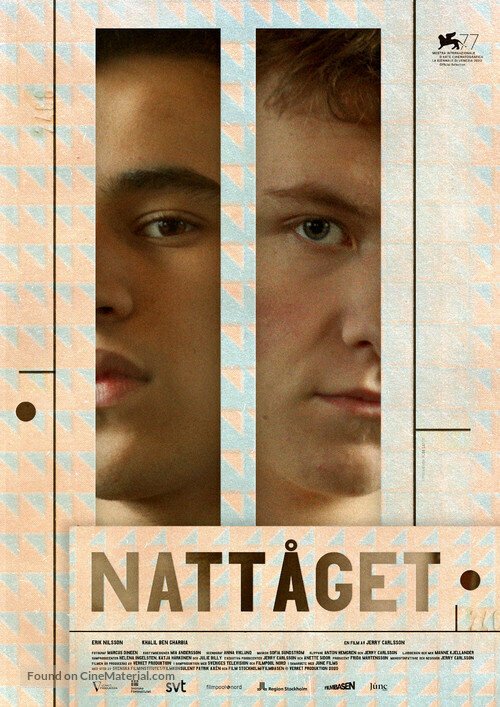Обложка (Постер) Nattåget (2020) 