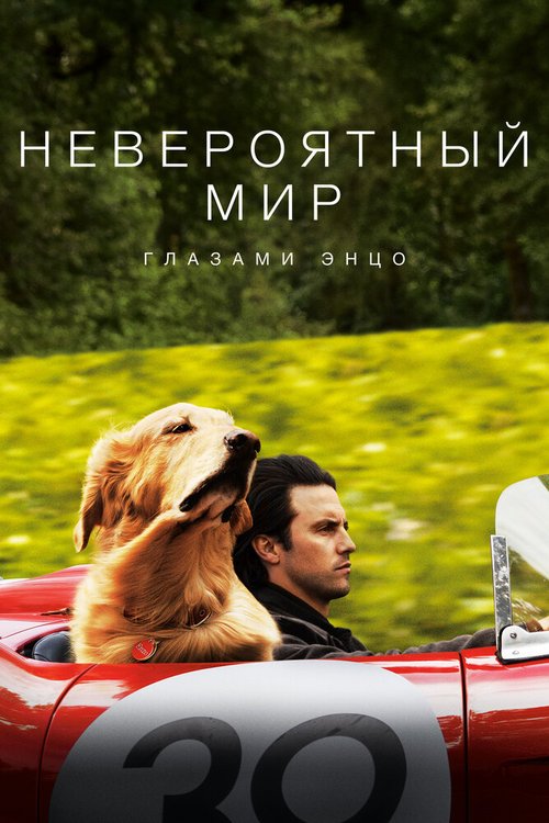 Обложка Невероятный мир глазами Энцо / The Art of Racing in the Rain (2019) 