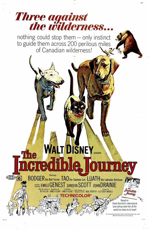 Обложка (Постер) Невероятное путешествие / The Incredible Journey (1963) SATRip Обложка (Постер) Невероятное путешествие / The Incredible Journey (1963) SATRip