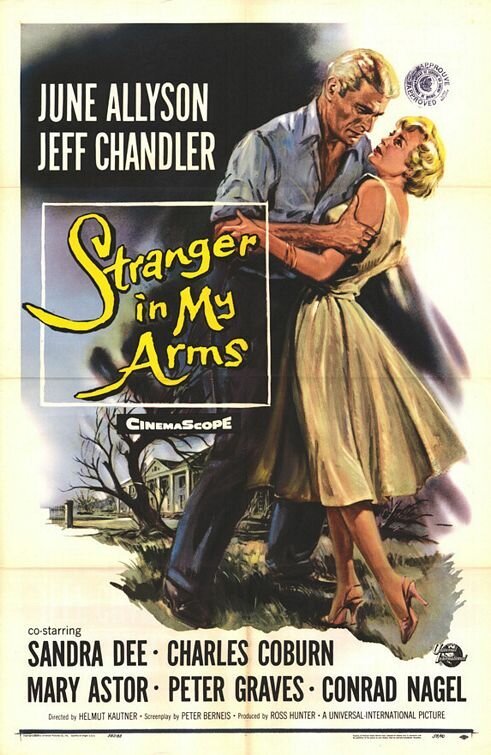 Обложка (Постер) Незнакомец в моих объятьях / A Stranger in My Arms (1959) SATRip