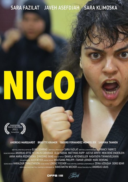Обложка (Постер) Нико / Nico (2021) HDRip Обложка (Постер) Нико / Nico (2021) HDRip