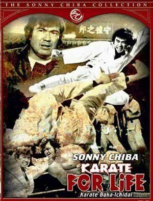 Обложка (Постер) Обреченный на одиночество 3 / Karate baka ichidai (1977) SATRip