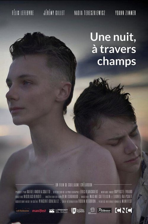 Обложка (Постер) Однажды ночью через поля / Une nuit, à travers champs (2020) HDRip Обложка (Постер) Однажды ночью через поля / Une nuit, à travers champs (2020) HDRip
