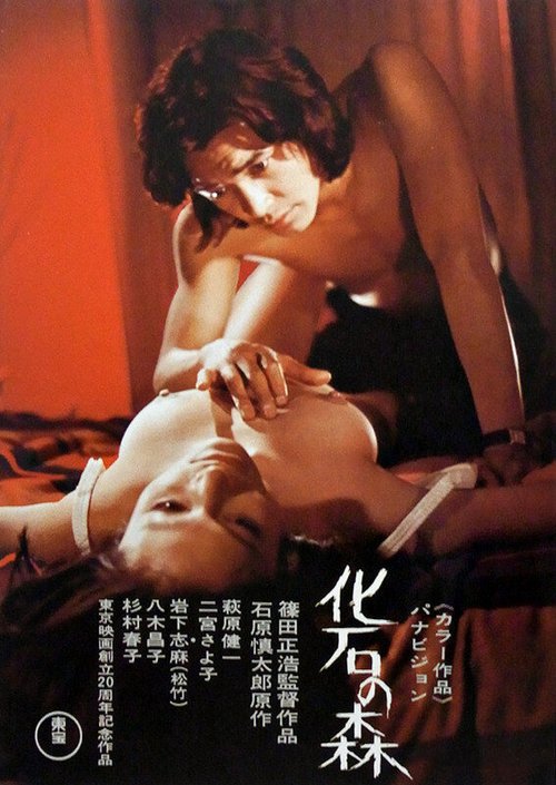 Обложка (Постер) Окаменевший лес / Kaseki no mori (1973) SATRip Обложка (Постер) Окаменевший лес / Kaseki no mori (1973) SATRip