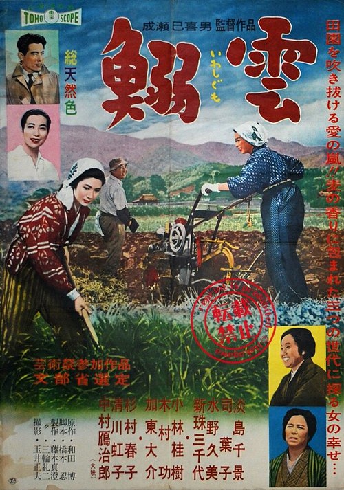Обложка (Постер) Перистые облака / Iwashigumo (1958) SATRip Обложка (Постер) Перистые облака / Iwashigumo (1958) SATRip
