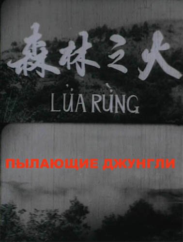 Обложка (Постер) Пылающие джунгли / Lửa rừng (1965) SATRip Обложка (Постер) Пылающие джунгли / Lửa rừng (1965) SATRip