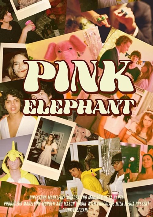 Обложка (Постер) Pink Elephant (2020) Обложка (Постер) Pink Elephant (2020)