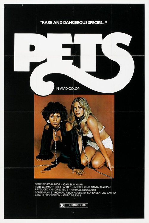 Обложка (Постер) Питомцы / Pets (1973) SATRip Обложка (Постер) Питомцы / Pets (1973) SATRip