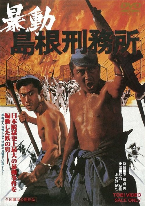 Обложка (Постер) Побег из тюрьмы Симанэ / Bodo shimane keimusho (1975) SATRip