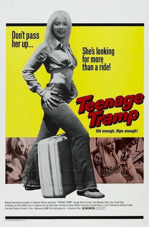 Обложка (Постер) Подросток-бродяга / Teenage Tramp (1973) SATRip Обложка (Постер) Подросток-бродяга / Teenage Tramp (1973) SATRip