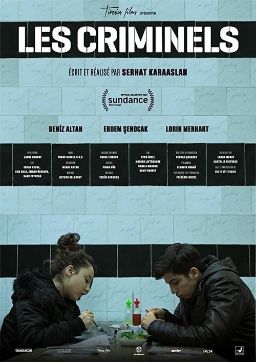 Обложка (Постер) Преступники / Les criminels (2020) HDRip Обложка (Постер) Преступники / Les criminels (2020) HDRip