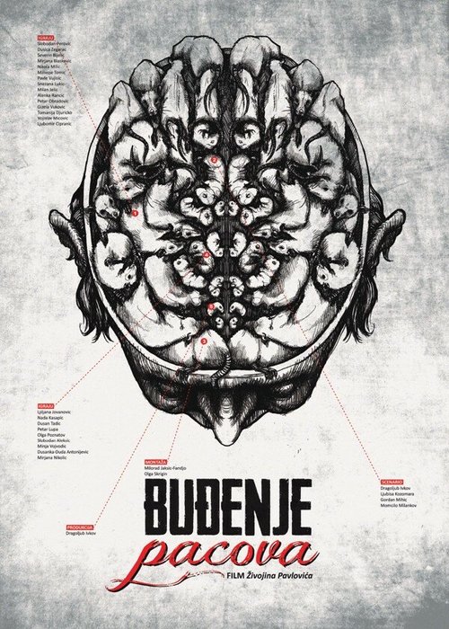 Обложка (Постер) Пробуждение крыс / Budjenje pacova (1966) SATRip Обложка (Постер) Пробуждение крыс / Budjenje pacova (1966) SATRip