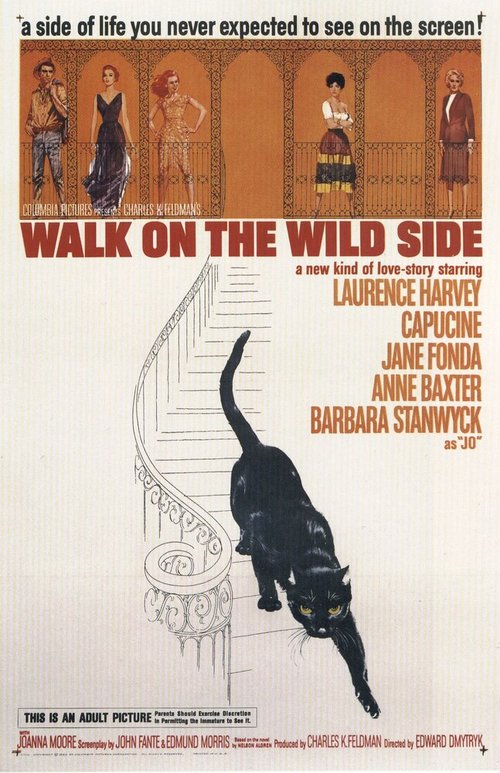 Обложка (Постер) Прогулка по беспутному кварталу / Walk on the Wild Side (1962) SATRip Обложка (Постер) Прогулка по беспутному кварталу / Walk on the Wild Side (1962) SATRip