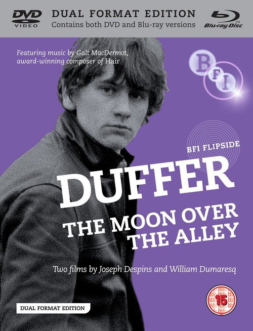 Обложка (Постер) Простофиля / Duffer (1972) SATRip Обложка (Постер) Простофиля / Duffer (1972) SATRip