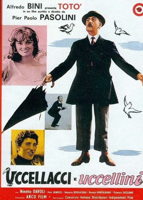 Обложка (Постер) Птицы большие и малые / Uccellacci e uccellini (1966) SATRip Обложка (Постер) Птицы большие и малые / Uccellacci e uccellini (1966) SATRip