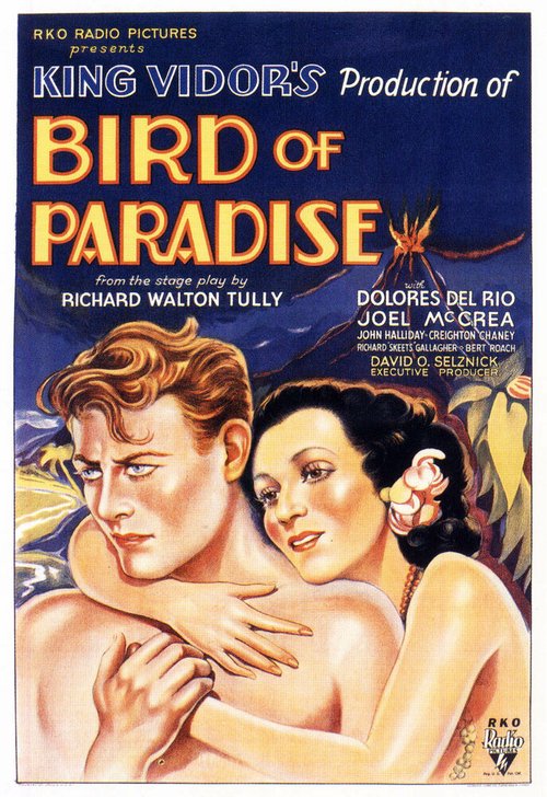 Обложка (Постер) Райская птичка / Bird of Paradise (1932) SATRip