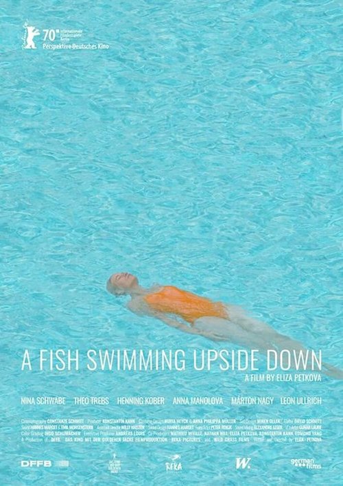 Обложка (Постер) Рыба, плавающая брюхом вверх / Ein Fisch, der auf dem Rücken schwimmt (2020) HDRip