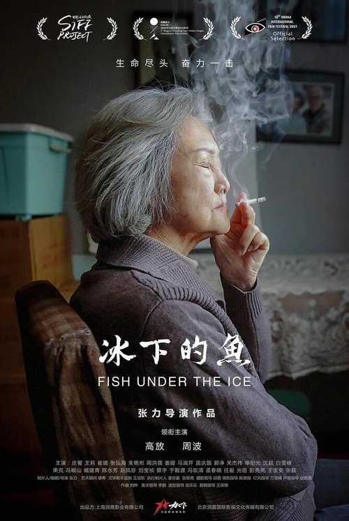 Обложка (Постер) Рыба подо льдом / Bing xia de yu (2020) HDRip