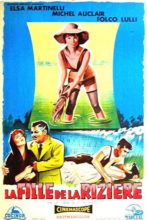 Обложка (Постер) Рисовое поле / La risaia (1956) SATRip Обложка (Постер) Рисовое поле / La risaia (1956) SATRip