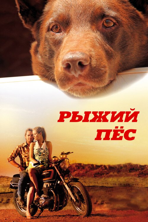 Обложка Рыжий пес / Red Dog (2011) 