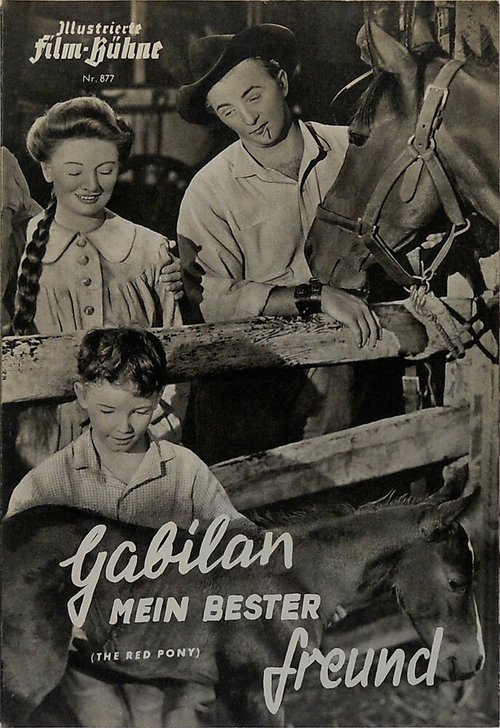 Обложка (Постер) Рыжий пони / The Red Pony (1949) SATRip Обложка (Постер) Рыжий пони / The Red Pony (1949) SATRip