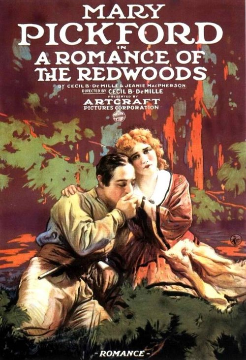 Обложка (Постер) Роман в Редвудс / A Romance of the Redwoods (1917) SATRip
