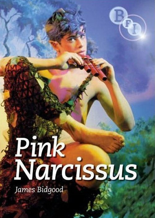 Обложка (Постер) Розовый нарцисс / Pink Narcissus (1971) SATRip Обложка (Постер) Розовый нарцисс / Pink Narcissus (1971) SATRip