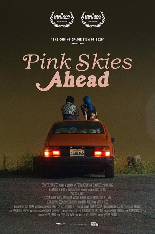 Обложка (Постер) Розовое небо впереди / Pink Skies Ahead (2020) HDRip Обложка (Постер) Розовое небо впереди / Pink Skies Ahead (2020) HDRip