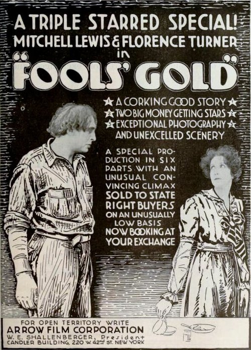 Обложка (Постер) Рудокопы / Fool's Gold (1919) 