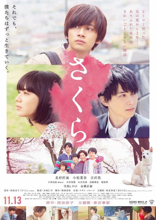 Обложка (Постер) Сакура / Sakura (2020) HDRip Обложка (Постер) Сакура / Sakura (2020) HDRip