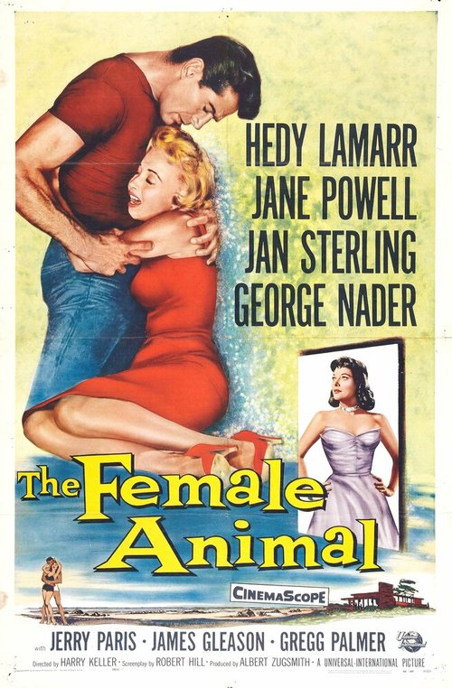 Обложка (Постер) Самка / The Female Animal (1958) SATRip Обложка (Постер) Самка / The Female Animal (1958) SATRip