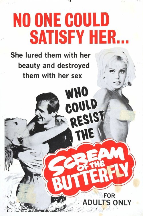 Обложка (Постер) Scream of the Butterfly (1965) SATRip Обложка (Постер) Scream of the Butterfly (1965) SATRip