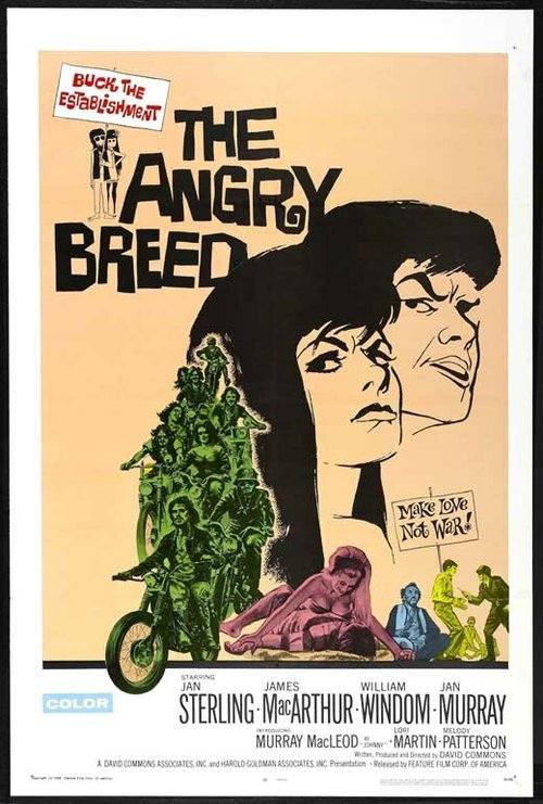 Обложка (Постер) Сердитое поколение / The Angry Breed (1968) SATRip Обложка (Постер) Сердитое поколение / The Angry Breed (1968) SATRip