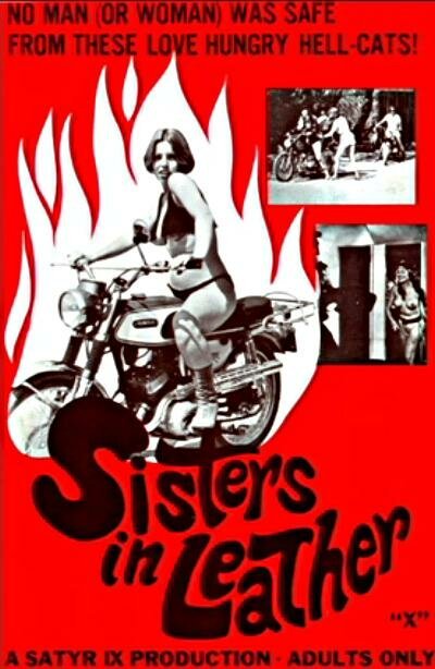 Обложка (Постер) Сестрички в коже / Sisters in Leather (1969) SATRip