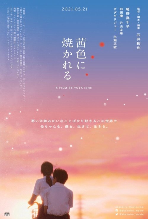 Обложка (Постер) Сгореть в красном цвете / Akaneiro ni Yakareru (2021) HDRip Обложка (Постер) Сгореть в красном цвете / Akaneiro ni Yakareru (2021) HDRip