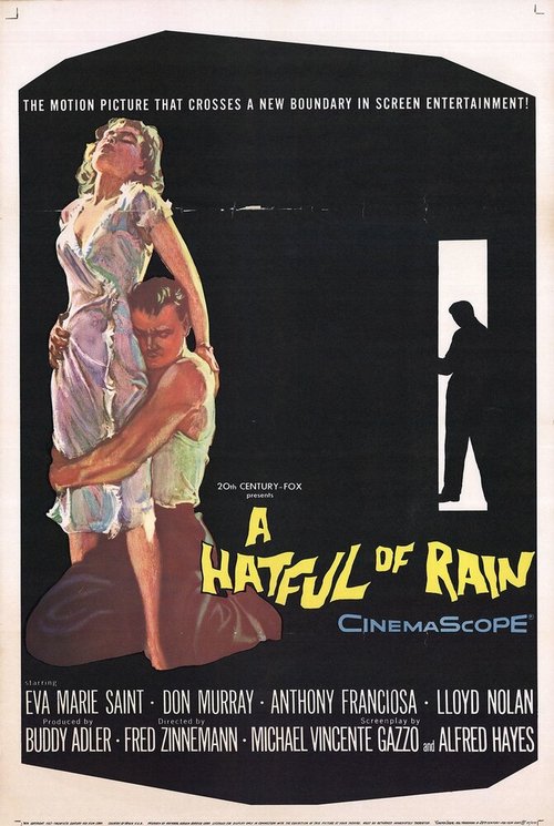 Обложка (Постер) Шляпа, полная дождя / A Hatful of Rain (1957) SATRip Обложка (Постер) Шляпа, полная дождя / A Hatful of Rain (1957) SATRip