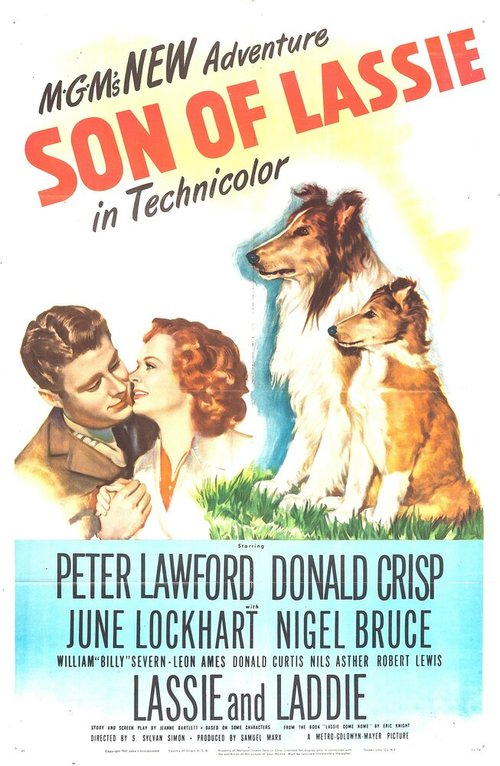 Обложка (Постер) Сын Лесси / Son of Lassie (1945) SATRip Обложка (Постер) Сын Лесси / Son of Lassie (1945) SATRip