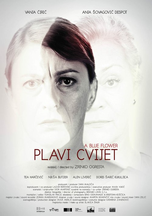 Обложка (Постер) Синий цветок / Plavi cvijet (2021) HDRip Обложка (Постер) Синий цветок / Plavi cvijet (2021) HDRip