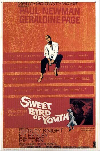 Обложка (Постер) Сладкоголосая птица юности / Sweet Bird of Youth (1962) SATRip Обложка (Постер) Сладкоголосая птица юности / Sweet Bird of Youth (1962) SATRip