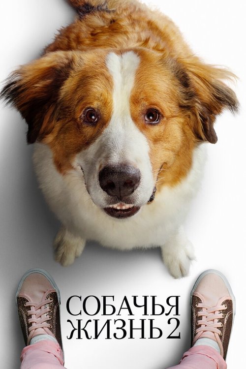 Обложка Собачья жизнь 2 / A Dog's Journey (2019) 