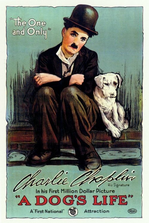 Обложка (Постер) Собачья жизнь / A Dog's Life (1918) SATRip