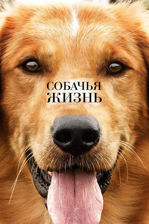 Обложка Собачья жизнь / A Dog's Purpose (2017) 