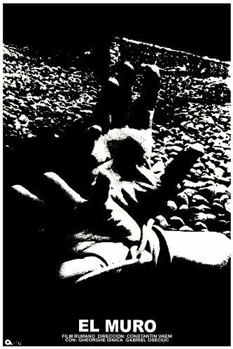 Обложка (Постер) Стена / Zidul (1975) SATRip Обложка (Постер) Стена / Zidul (1975) SATRip