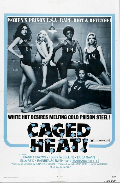 Обложка (Постер) Страсть за решеткой / Caged Heat (1974) SATRip Обложка (Постер) Страсть за решеткой / Caged Heat (1974) SATRip