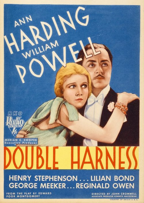 Обложка (Постер) Супружество / Double Harness (1933) SATRip